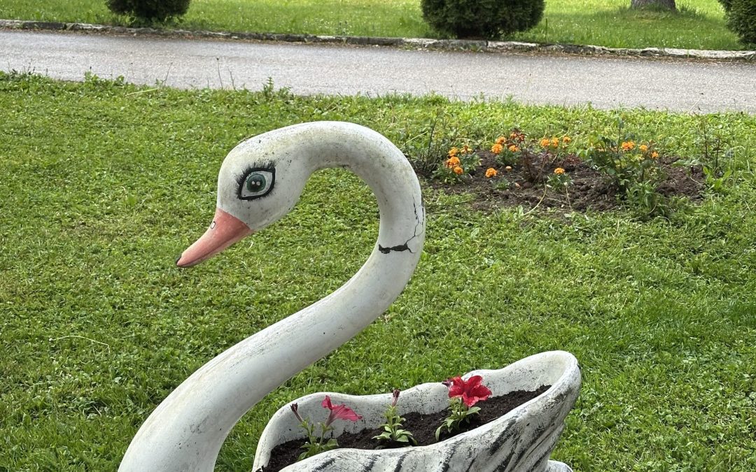 PROLJEĆNO UREĐENJE BOLNIČKOG KRUGA